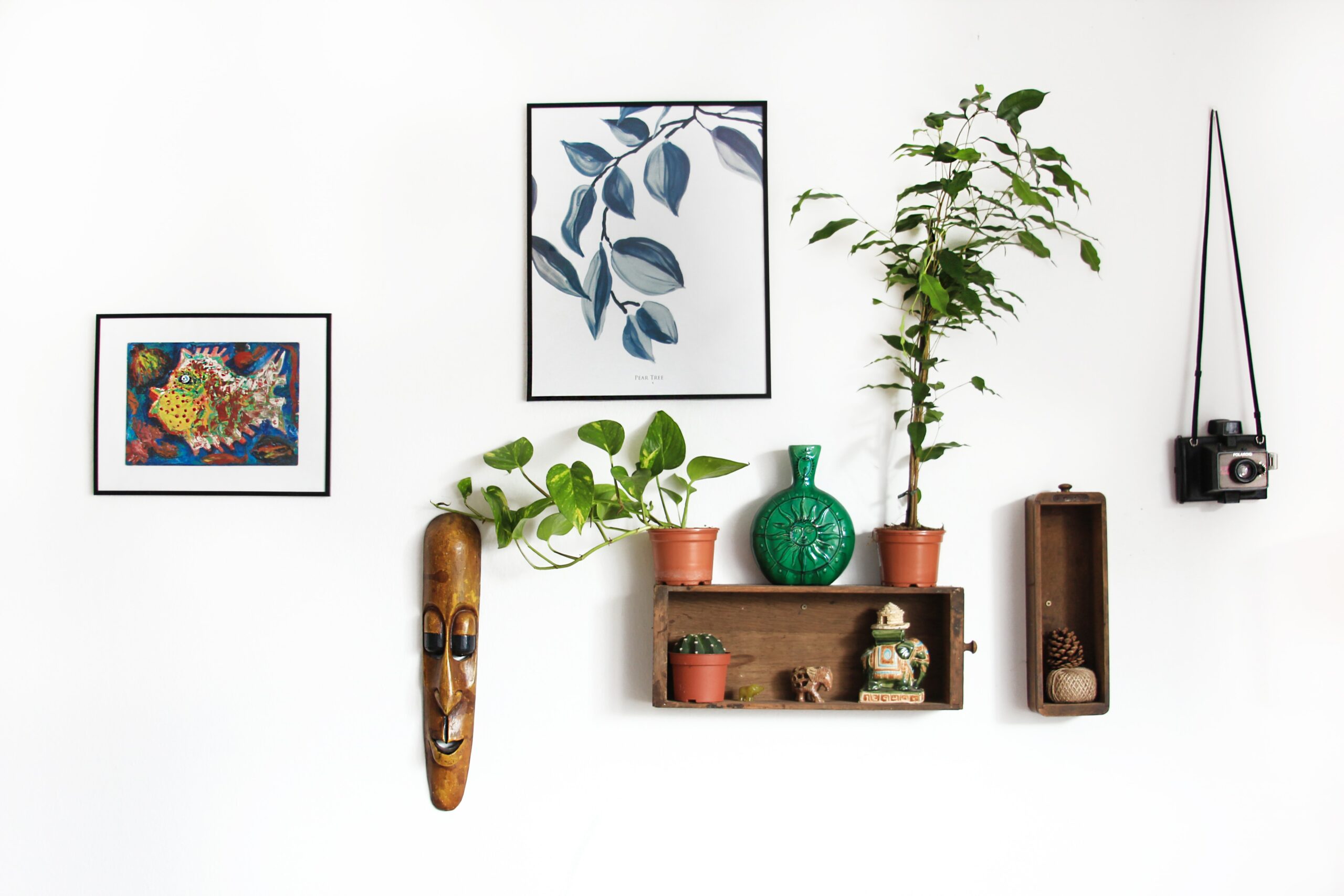 Le style ethnique prend place dans les décorations et équipements de bureaux.