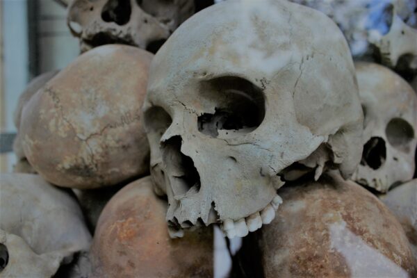 Musée royal d’Afrique centrale, un changement qui ne change rien !