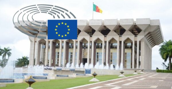 29 parlementaires européens demandent un focus sur la crise politique au Cameroun