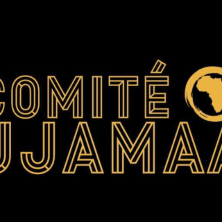 Plaquées, menottées, humiliées : le rapport des forces de l’ordre aux femmes noires